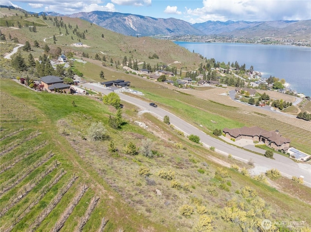 306 Clos Chevalle Rd, Chelan, WA 98816