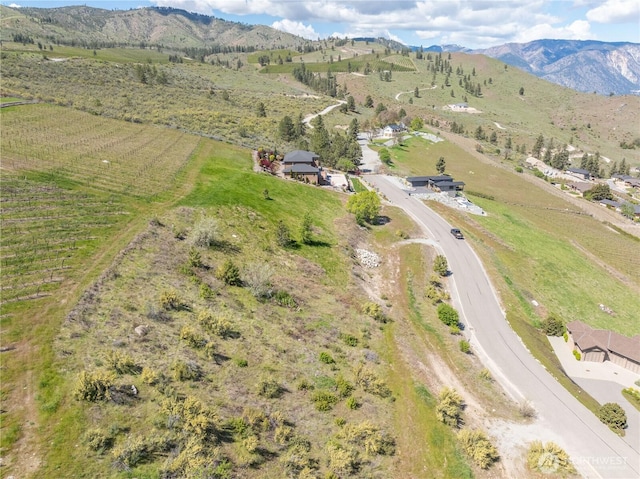 306 Clos Chevalle Rd, Chelan, WA 98816
