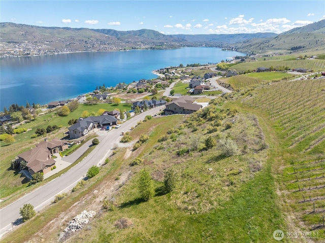 306 Clos Chevalle Rd, Chelan, WA 98816