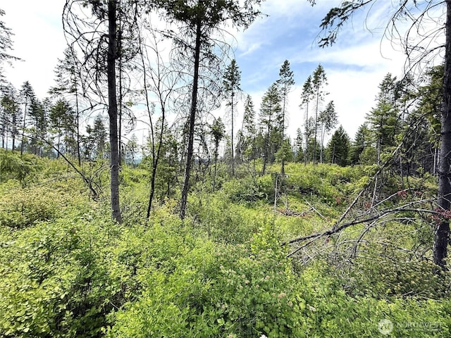 0LOT4 Rockabye Ln, Curlew, WA 99118