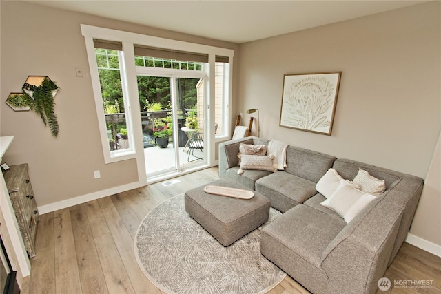 23300 SE Black Nugget Rd Unit J3, Issaquah, WA 98029 - living room with hardwood / wood-style flooring and baseboards
