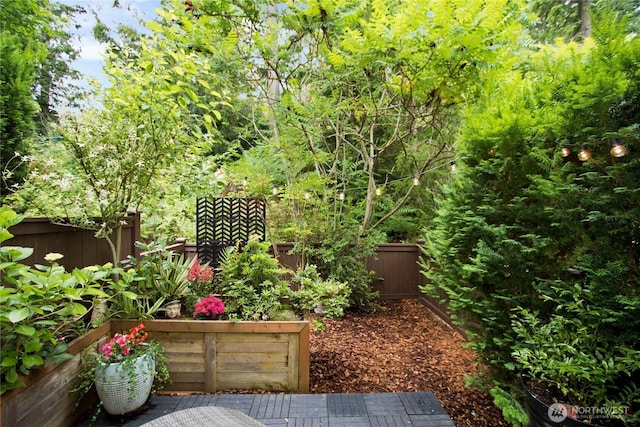 23300 SE Black Nugget Rd Unit J3, Issaquah, WA 98029 - view of yard