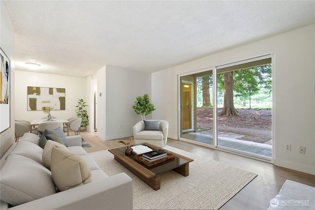 17514 151st Ave SE Unit 1-4, Renton, WA 98058 - living area featuring wood finished floors and a textured ceiling