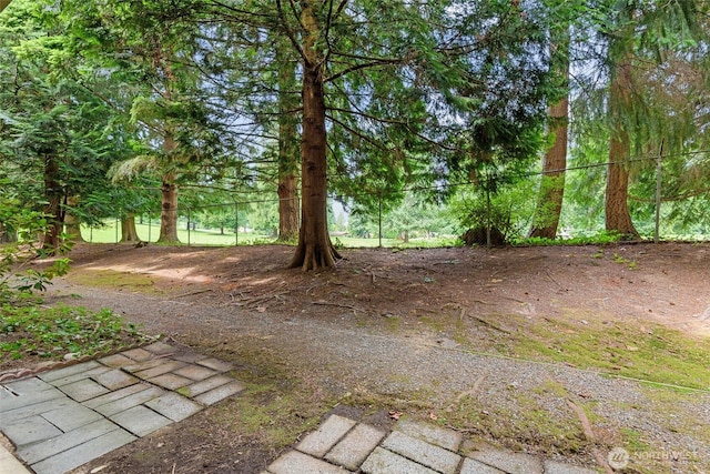 17514 151st Ave SE Unit 1-4, Renton, WA 98058 - view of yard