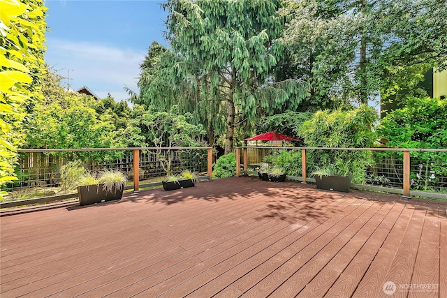 4222 Latona Ave NE, Seattle, WA 98105 - view of wooden terrace