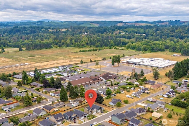 3294 Prill Rd, Centralia, WA 98531 - aerial view of residential area with a mountain backdrop and a forest