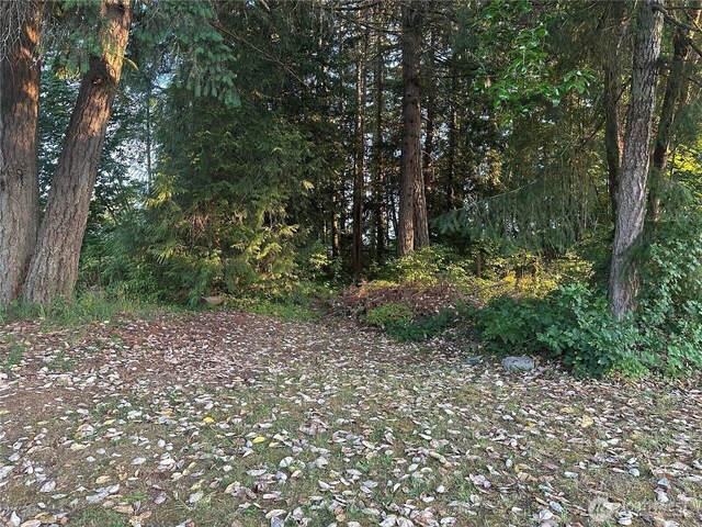 1421 Fairmount Ave, Shelton, WA 98584 - view of woods