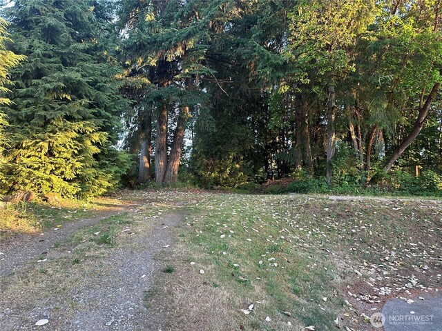 1421 Fairmount Ave, Shelton, WA 98584 - view of yard