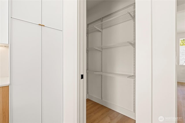 6732 21st Ave SW, Seattle, WA 98106 - view of closet