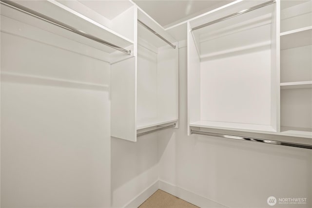 6732 21st Ave SW, Seattle, WA 98106 - view of spacious closet