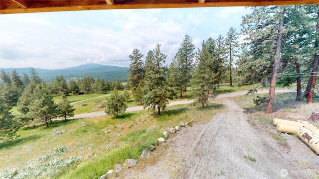 76 Buck Rd, Wauconda, WA 98859 - view of road with a mountain view