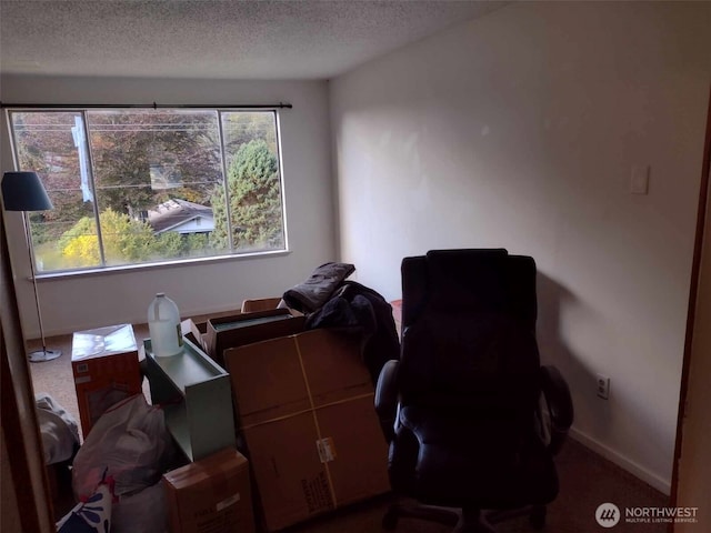 1353 Larch St, Raymond, WA 98577 - photo 15