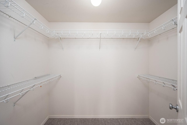 510 Trout Ave NE, Moses Lake, WA 98837 - spacious closet with carpet floors