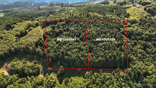 0 N Bodine Rd, Kelso, WA 98626 - photo 1