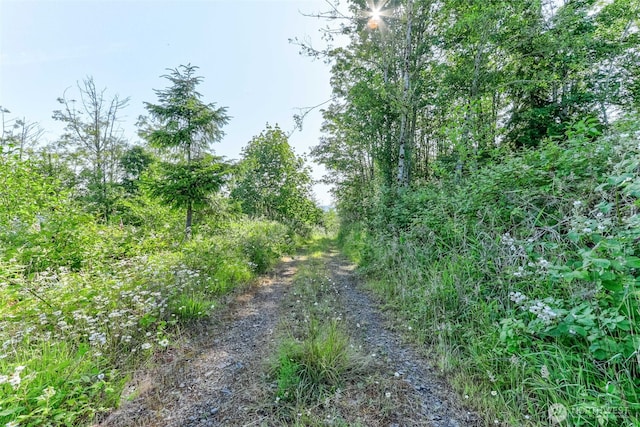 0 N Bodine Rd, Kelso, WA 98626 - photo 4