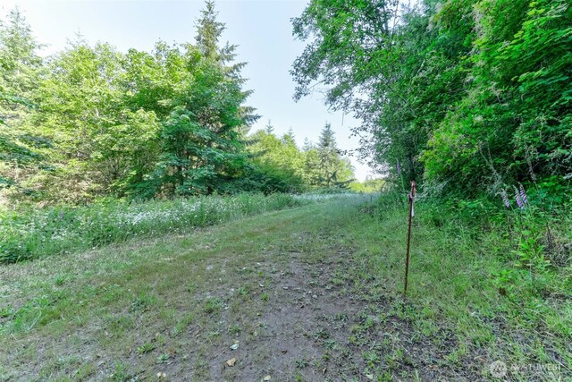 0 N Bodine Rd, Kelso, WA 98626 - photo 6