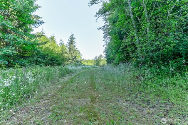 0 N Bodine Rd, Kelso, WA 98626 - photo 7