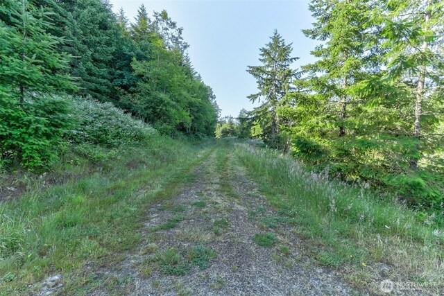 0 N Bodine Rd, Kelso, WA 98626 - photo 8