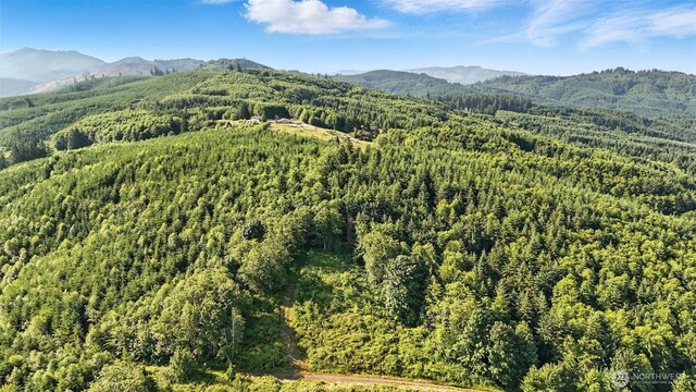 0 N Bodine Rd, Kelso, WA 98626 - photo 10