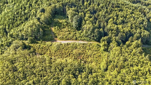 0 N Bodine Rd, Kelso, WA 98626 - photo 11