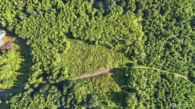 0 N Bodine Rd, Kelso, WA 98626 - photo 12
