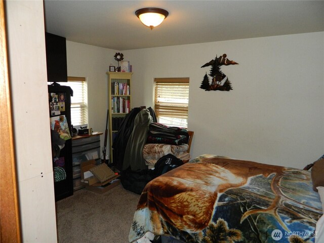 44 Bonaparte Ave, Tonasket, WA 98855 - photo 18