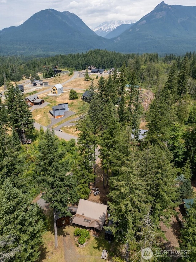 109 Hideaway Ln, Packwood, WA 98361 - photo 24