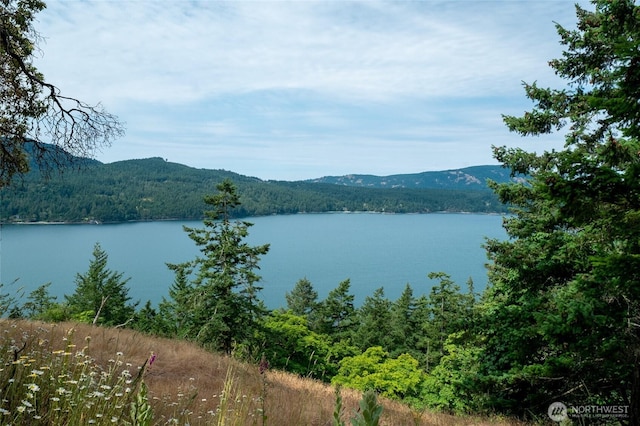 245 Veneda Trl, Orcas Island, WA 98245 - photo 1