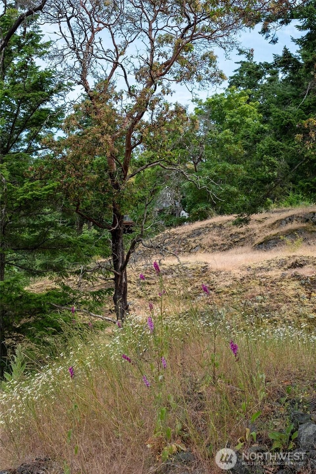 245 Veneda Trl, Orcas Island, WA 98245 - photo 2