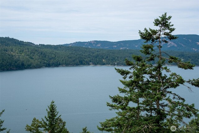 245 Veneda Trl, Orcas Island, WA 98245 - photo 3