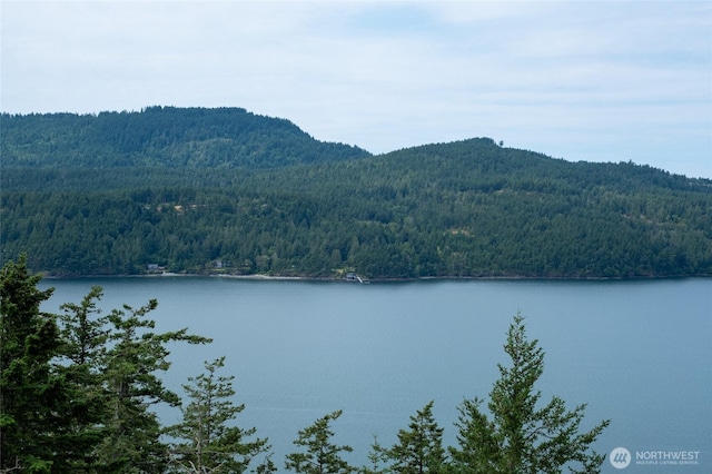 245 Veneda Trl, Orcas Island, WA 98245 - photo 4