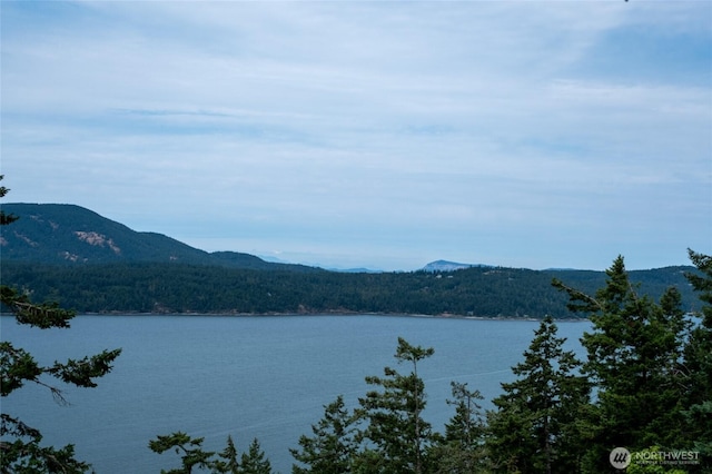 245 Veneda Trl, Orcas Island, WA 98245 - photo 5