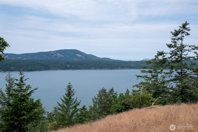 245 Veneda Trl, Orcas Island, WA 98245 - photo 11