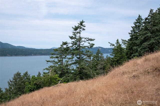 245 Veneda Trl, Orcas Island, WA 98245 - photo 12