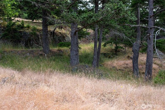 245 Veneda Trl, Orcas Island, WA 98245 - photo 14