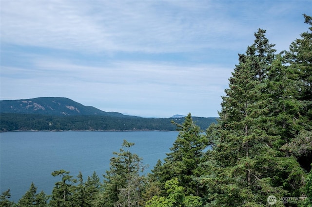 245 Veneda Trl, Orcas Island, WA 98245 - photo 15