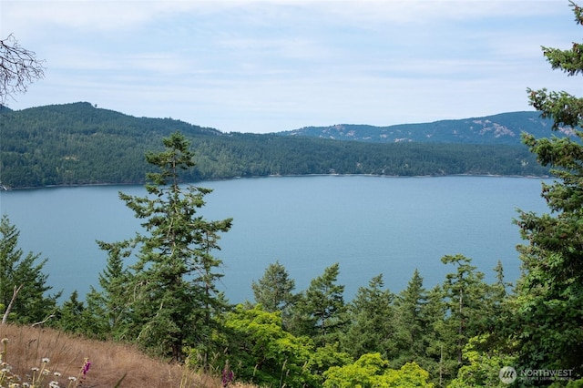 245 Veneda Trl, Orcas Island, WA 98245 - photo 16
