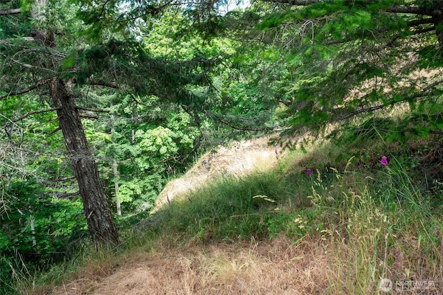 245 Veneda Trl, Orcas Island, WA 98245 - photo 17