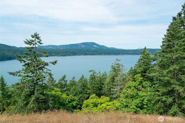 245 Veneda Trl, Orcas Island, WA 98245 - photo 18