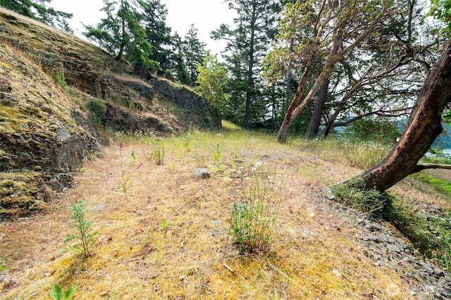 245 Veneda Trl, Orcas Island, WA 98245 - photo 20
