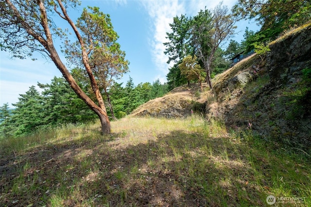 245 Veneda Trl, Orcas Island, WA 98245 - photo 21