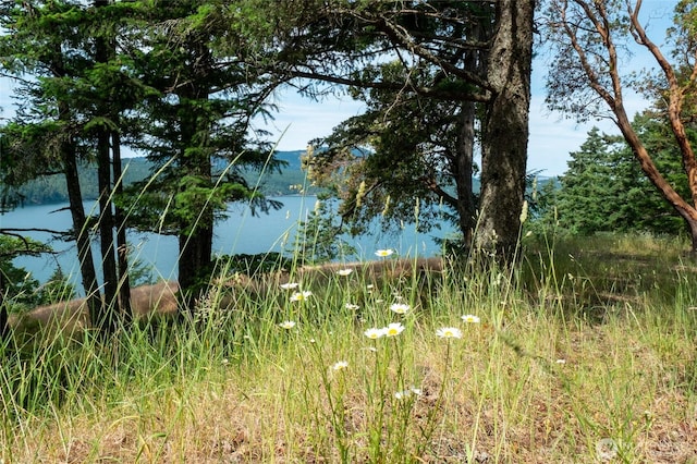 245 Veneda Trl, Orcas Island, WA 98245 - photo 22