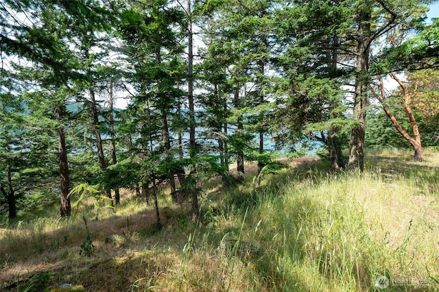 245 Veneda Trl, Orcas Island, WA 98245 - photo 23