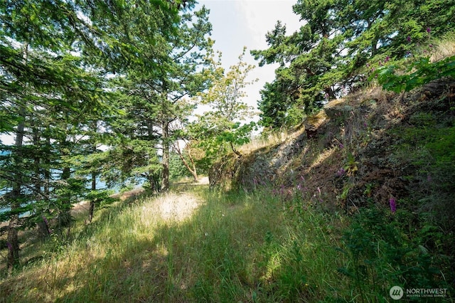 245 Veneda Trl, Orcas Island, WA 98245 - photo 24