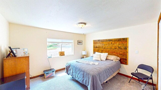 64 Oakes Dr, Tonasket, WA 98855 - photo 22