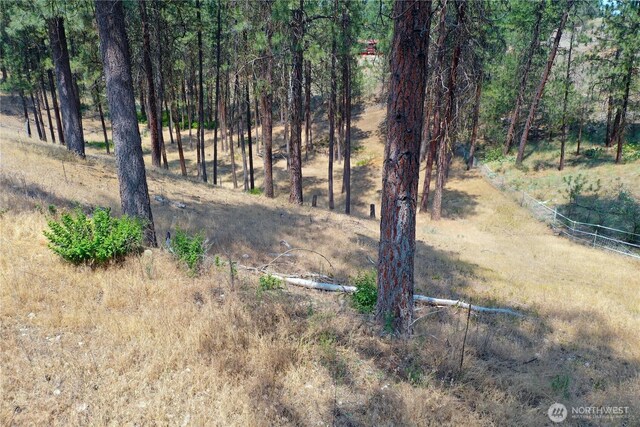 64 Oakes Dr, Tonasket, WA 98855 - photo 38