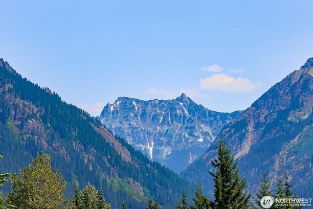 223 Hyak Dr E Unit 637, Snoqualmie Pass, WA 98068 - photo 1