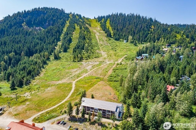223 Hyak Dr E Unit 637, Snoqualmie Pass, WA 98068 - photo 22
