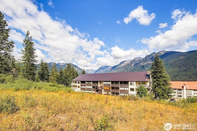 223 Hyak Dr E Unit 637, Snoqualmie Pass, WA 98068 - photo 27
