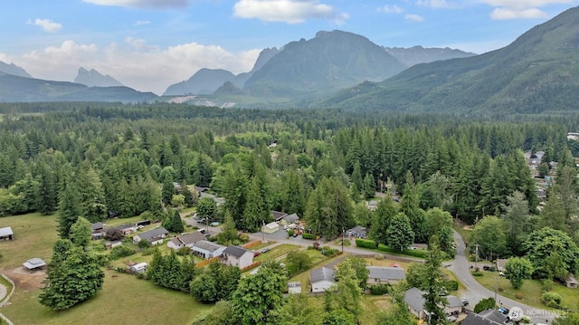 41427 Mountain View Pl E, Gold Bar, WA 98251 - bird's eye view of a forest and a mountain backdrop